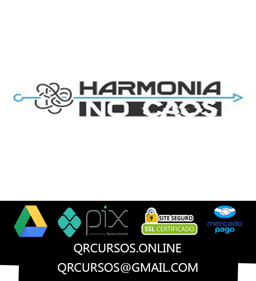 Organização Pessoal Harmonia no Caos - Paulo Alcides Prates 2025